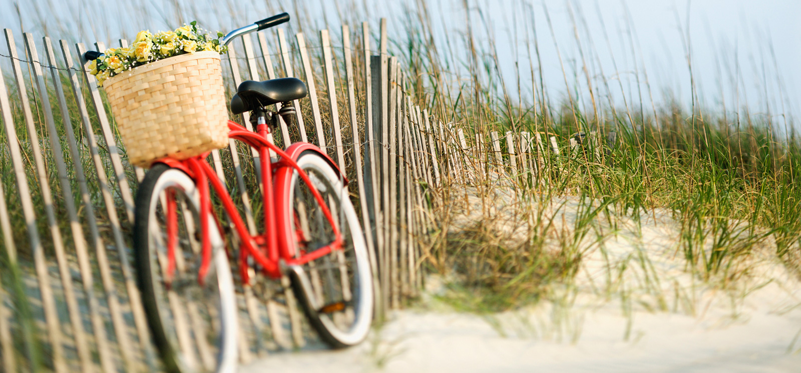 State Parks and Hiking of Delaware