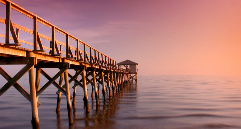 Kayak Tours And Als On Rehoboth Beach The Oce Cape Henlopen State Park Pier